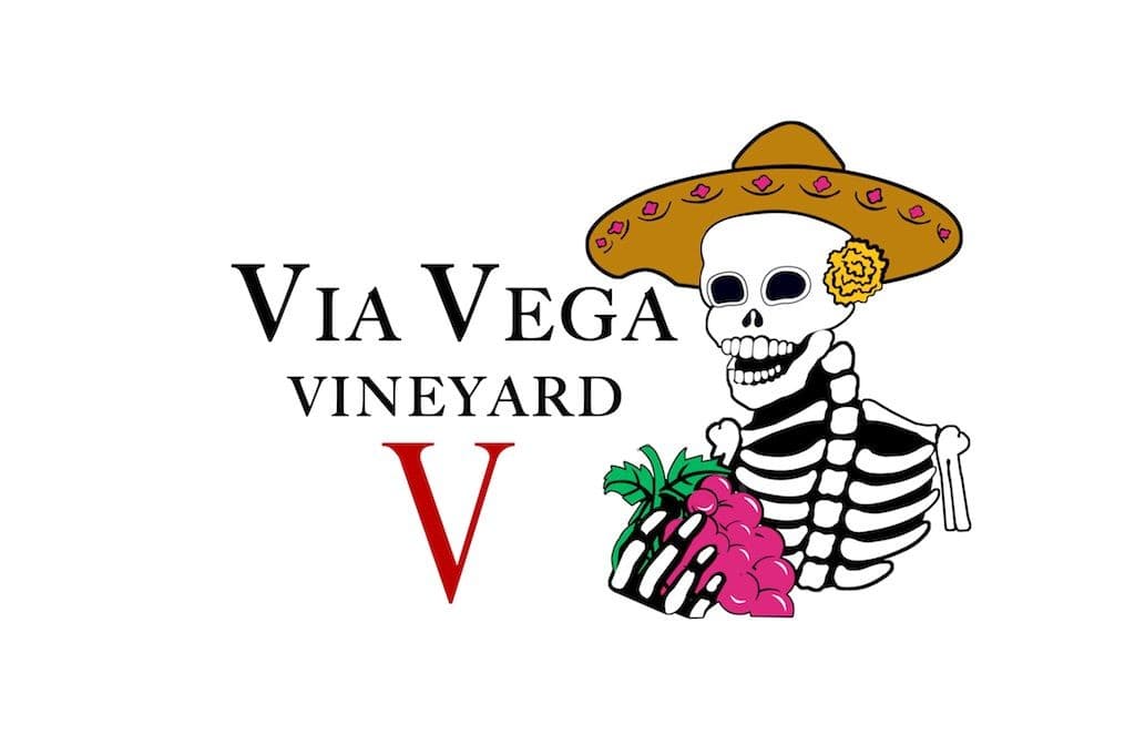 Footer Logo